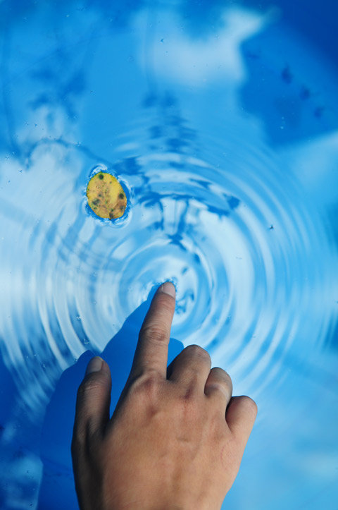 Tác phẩm đạt giải nhất chủ đề Chạm của Huỳnh Thái Sơn với hình ảnh ngón tay chạm vào mặt nước xanh.