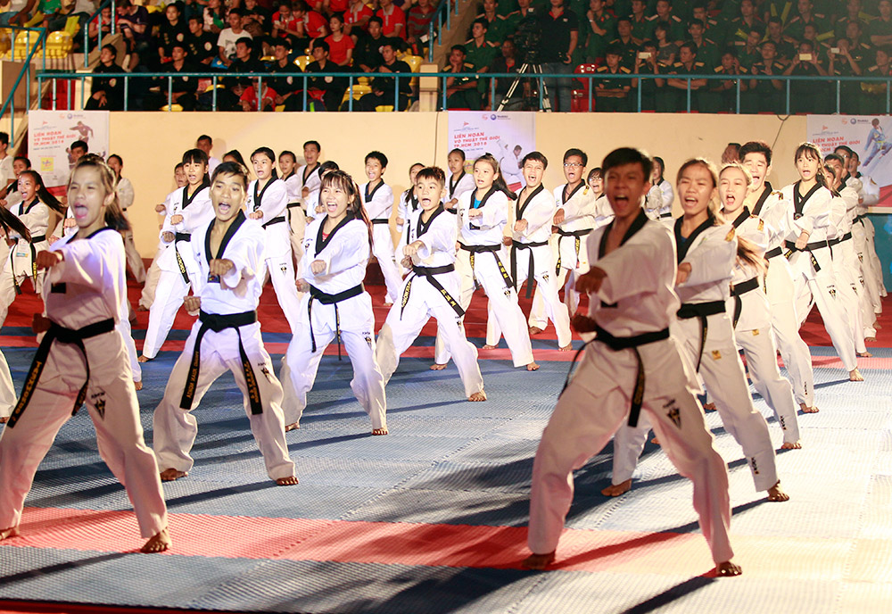 Màn trình diễn Taekwondo thu hút nhiều người xem