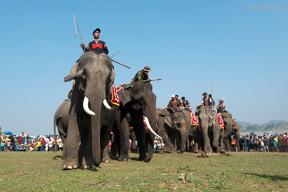 Ngày hội đua voi tại Hồ Lắk